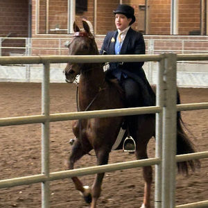 Meet your Posher, Oliver